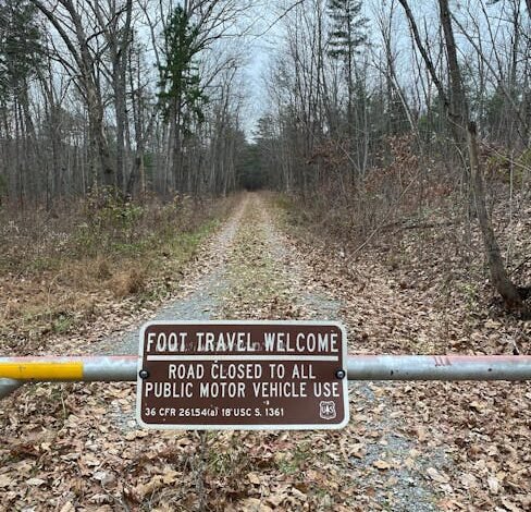 A dívida pública federal brasileira cresceu 18% em