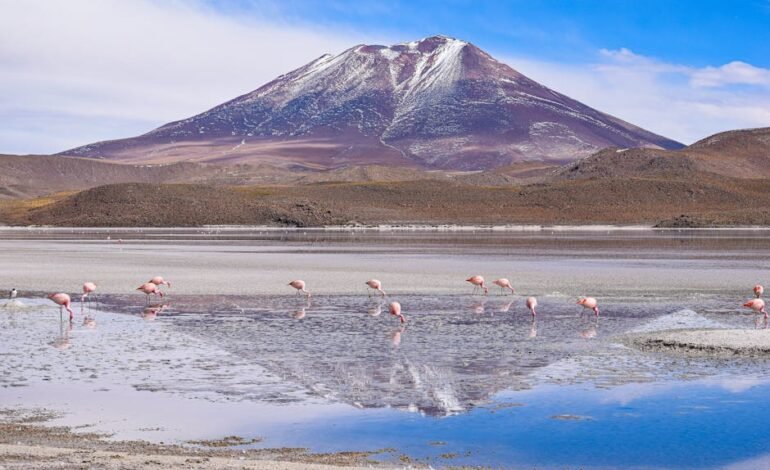 O Tribunal de Contas da União (TCU) aprovou nesta quarta-fei