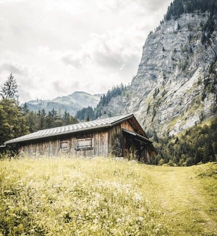 O diretor do Banco Central, Ailton Aquino, afirmou