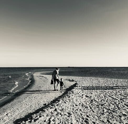 O Egito anunciou que pretende discutir a adoção