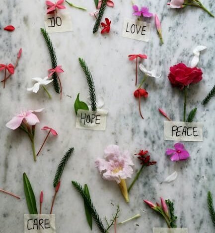 O governo federal lançou nesta terça-feira (13), no