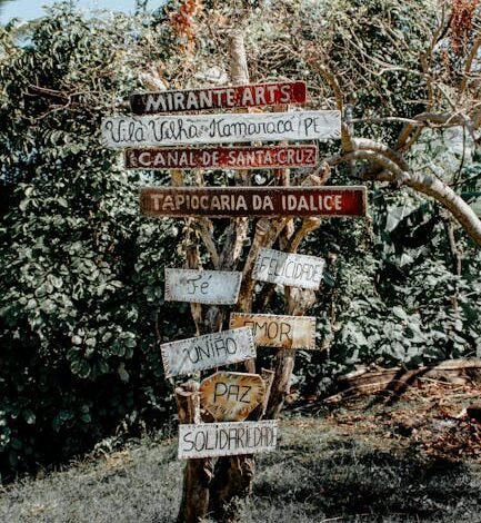 O presidente Luiz Inácio Lula da Silva recebeu