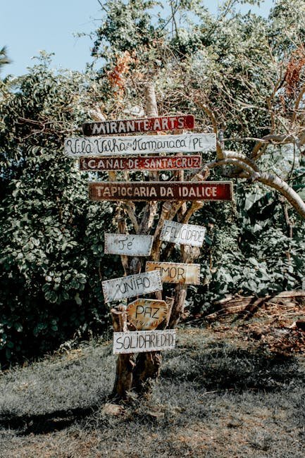 O presidente Luiz Inácio Lula da Silva recebeu