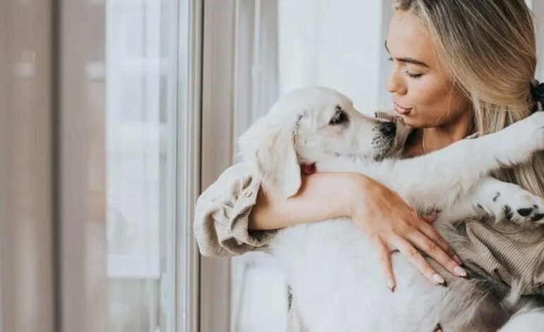 Excesso de carinho, banhos frequentes e longos períodos