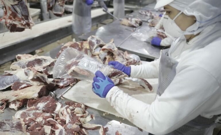 O Brasil atingiu em janeiro o maior volume