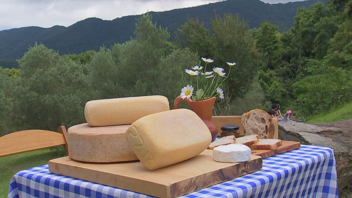 Queijarias artesanais da região de Jundiaí, em São