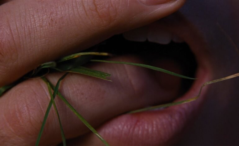 O novo filme “O morro dos ventos uivantes”, dirigido por