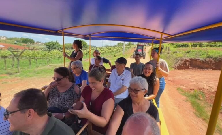 Moradores de grandes centros urbanos têm buscado o