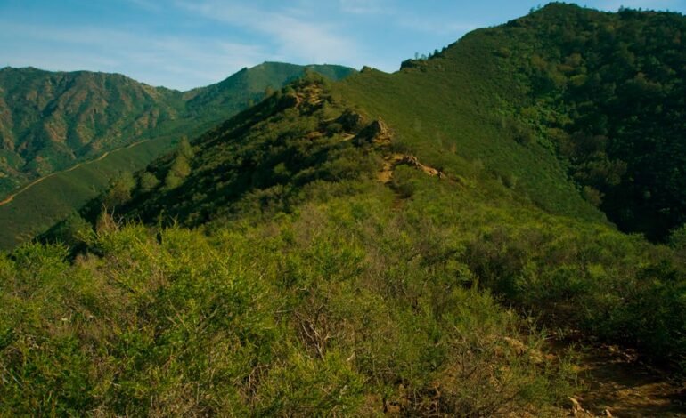 O vice-presidente e ministro da Indústria, Geraldo Alckmin