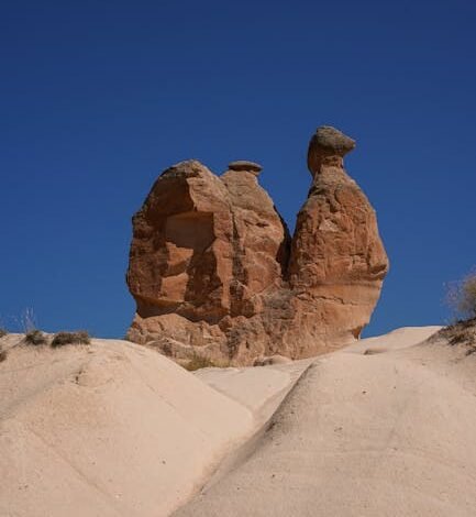 O vice-presidente e ministro do Desenvolvimento, Indústria,