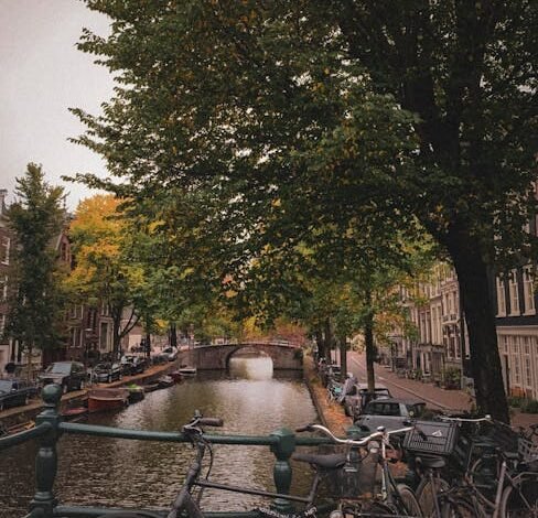 O Tribunal de Contas da União (TCU) identificou