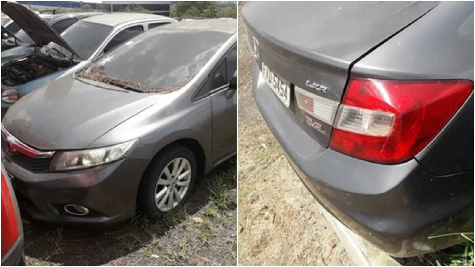 O Departamento Estadual de Trânsito de São Paulo