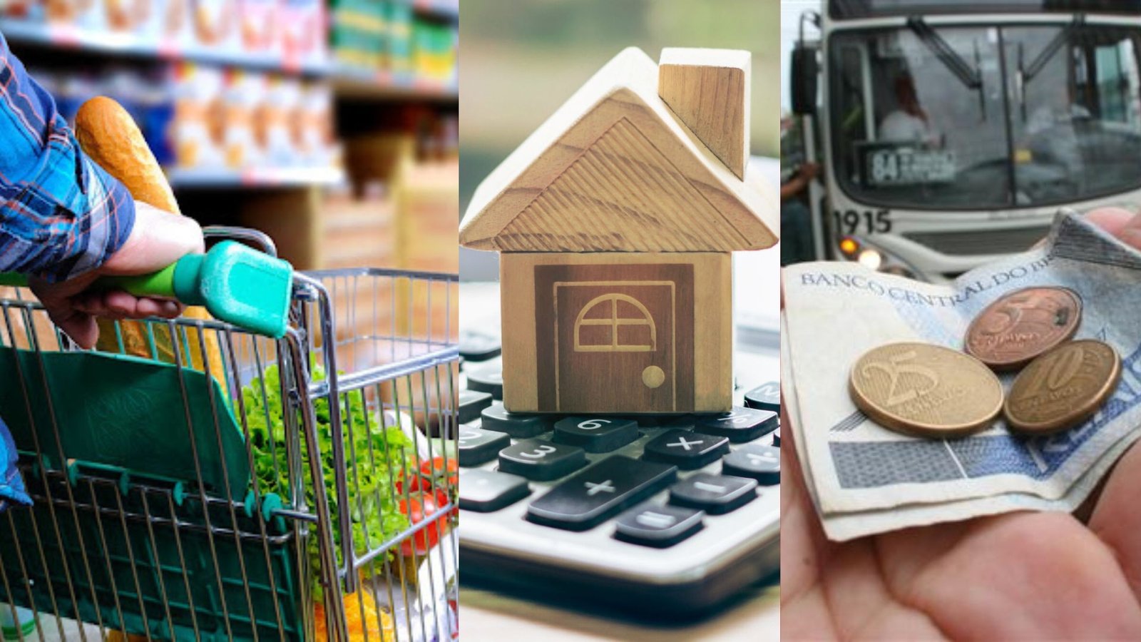 Uma pesquisa divulgada pela Serasa em parceria com