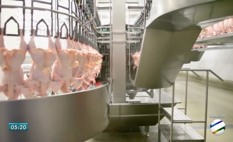 Usp identifica desafios na realocação da carne de frango bra