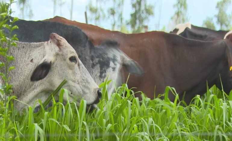 Produtores de leite no interior de São Paulo