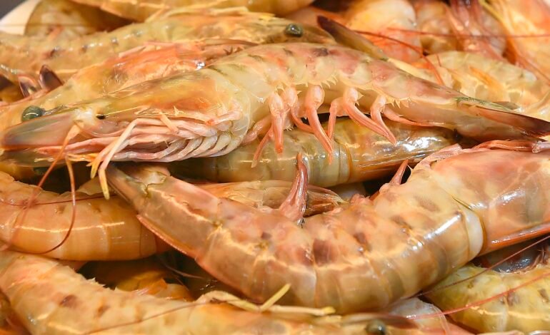 O Serviço Brasileiro de Apoio às Micro e Pequenas Empresas