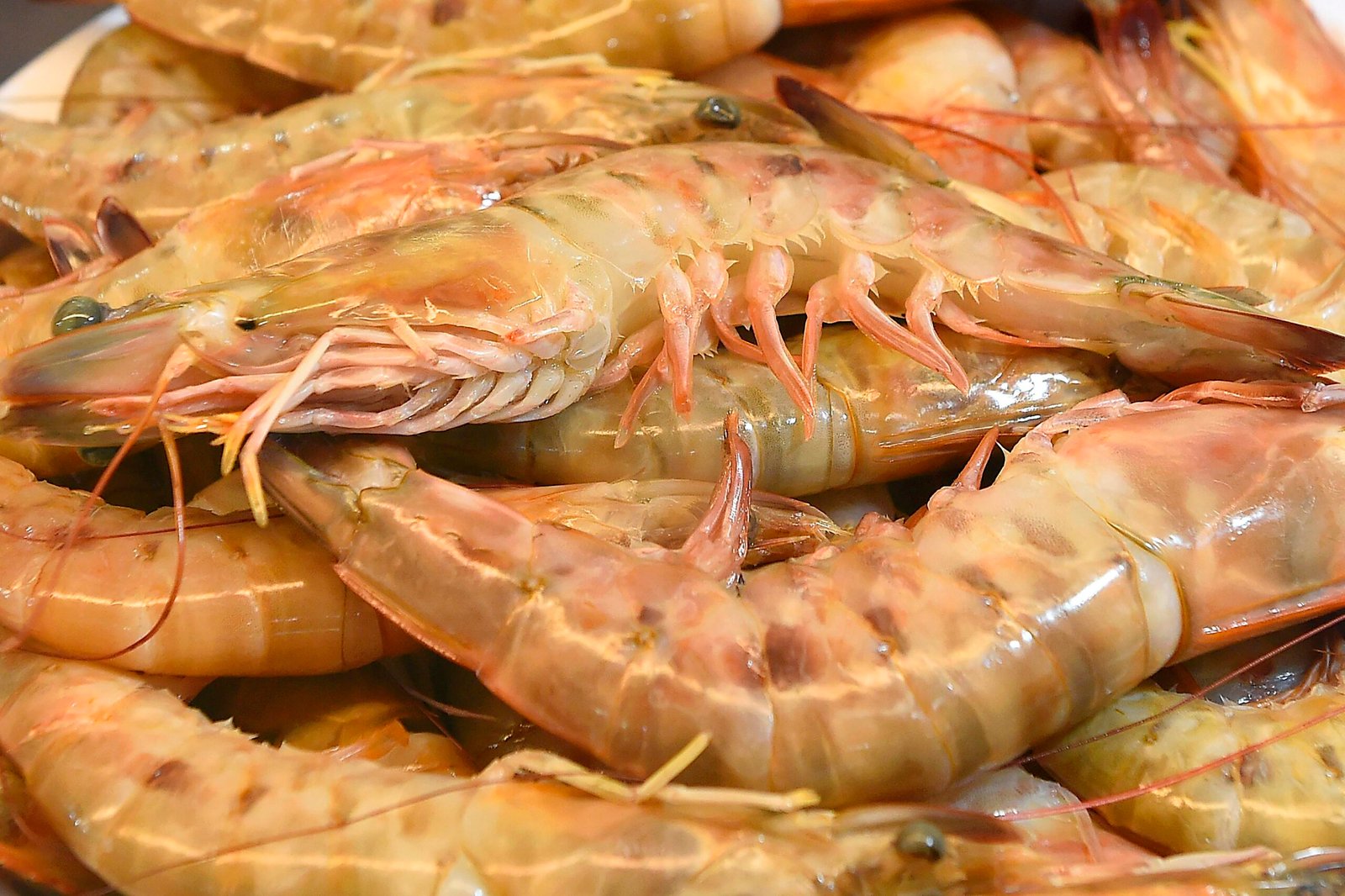 O Serviço Brasileiro de Apoio às Micro e Pequenas Empresas