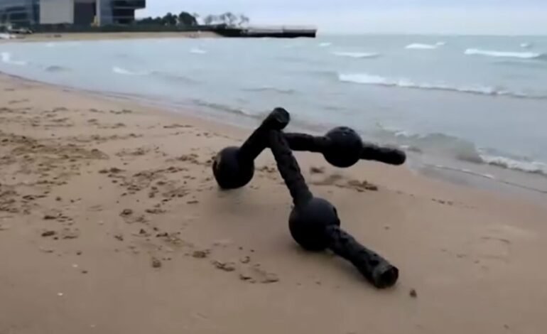 Pesquisadores da universidade northwestern criam robôs modul