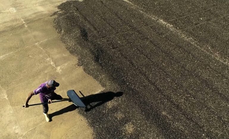 O ministro do Trabalho e Emprego, Luiz Marinho