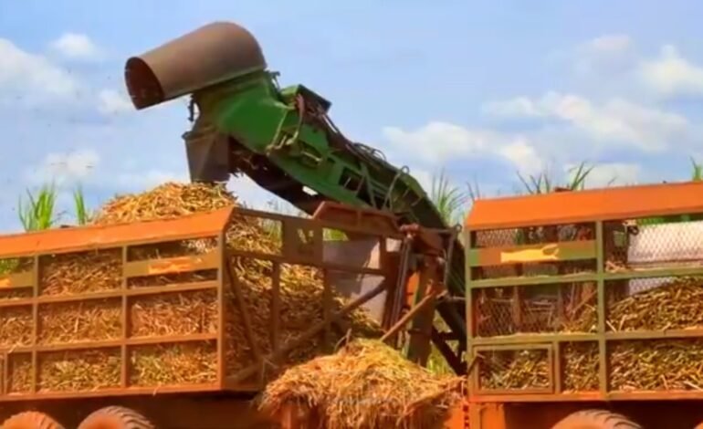 A guerra no Oriente Médio elevou os custos dos insumos