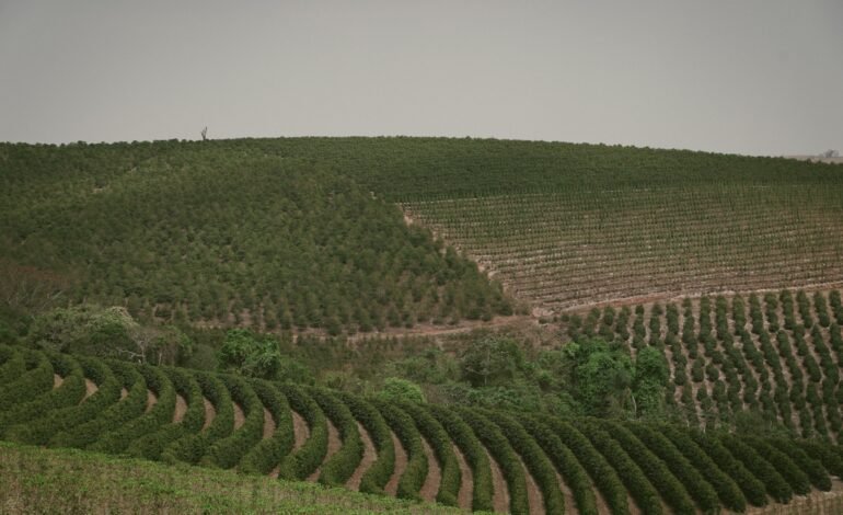 O preço da terra no Brasil varia entre