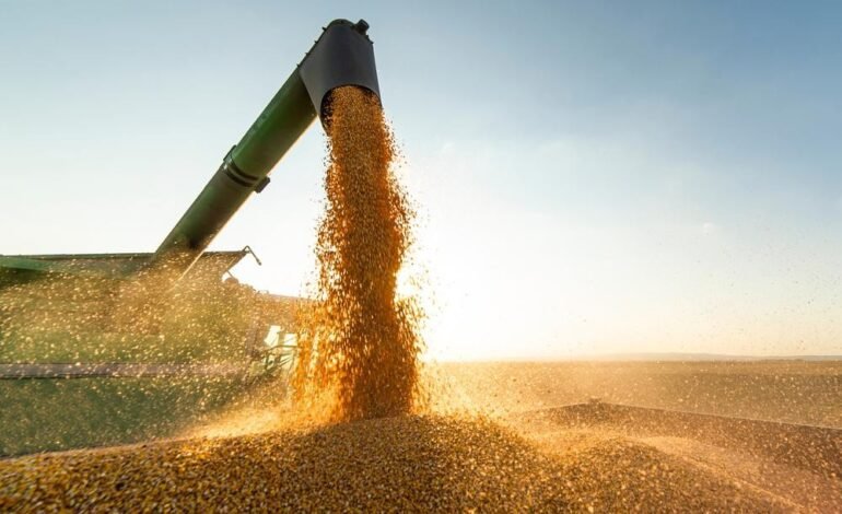 Autoridades chinesas flexibilizaram as regras sobre a presen