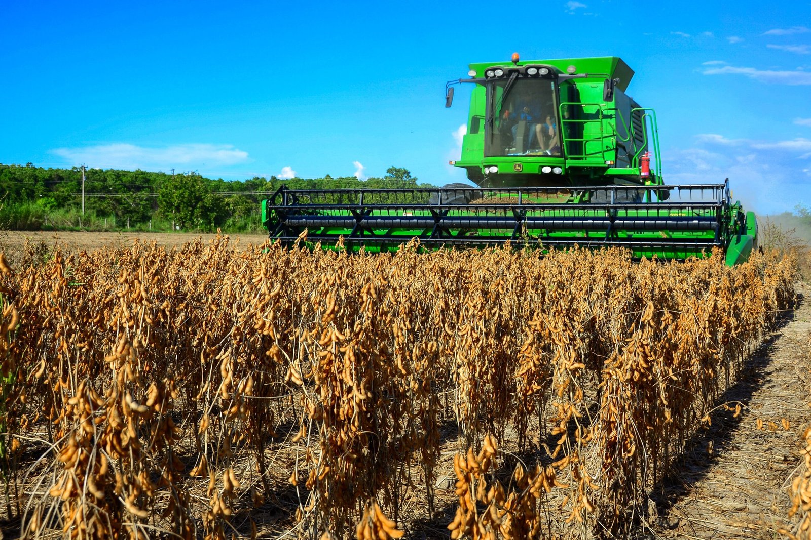 A alta recente nos preços das commodities impulsionada