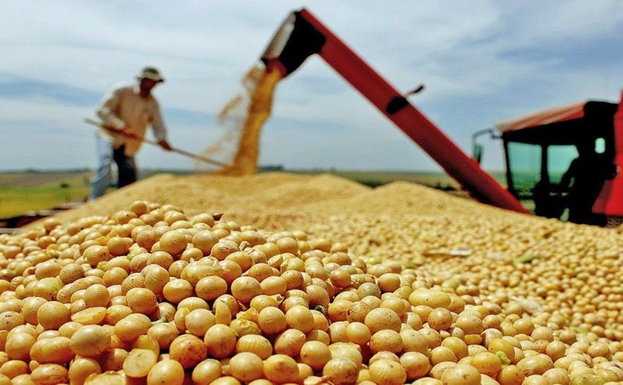 A agropecuária cresceu 11,7% em 2025, registrando a