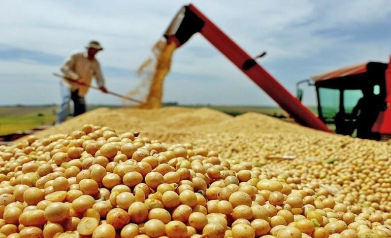 Novas exigências fitossanitárias da China levaram à devoluçã