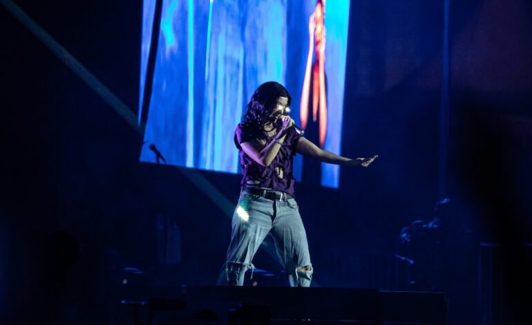 Lorde empolga público do Lollapalooza com o hit