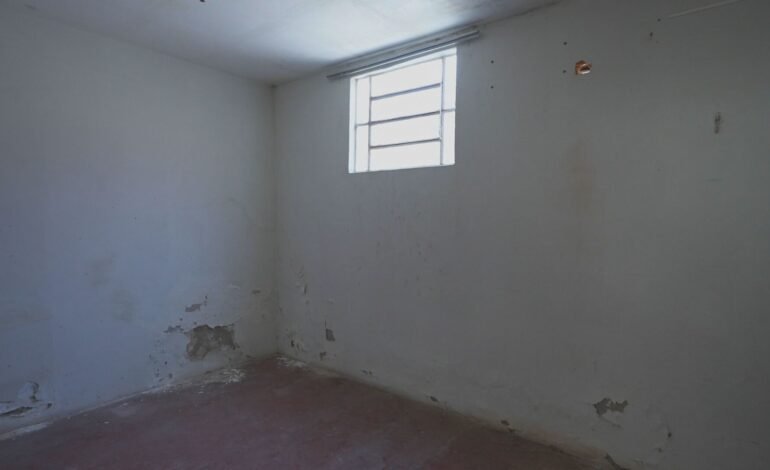 A mãe do cantor João Gomes, Kátia Gomes, revisitou a