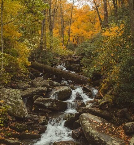 A Secretaria Nacional do Consumidor (Senacon) solicitou ao