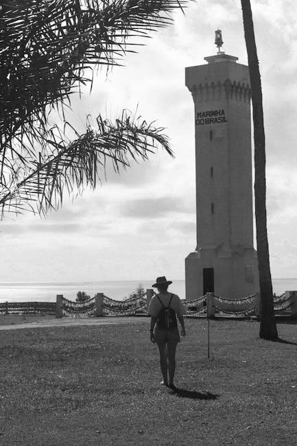 O presidente dos Estados Unidos, Donald Trump, afirmou