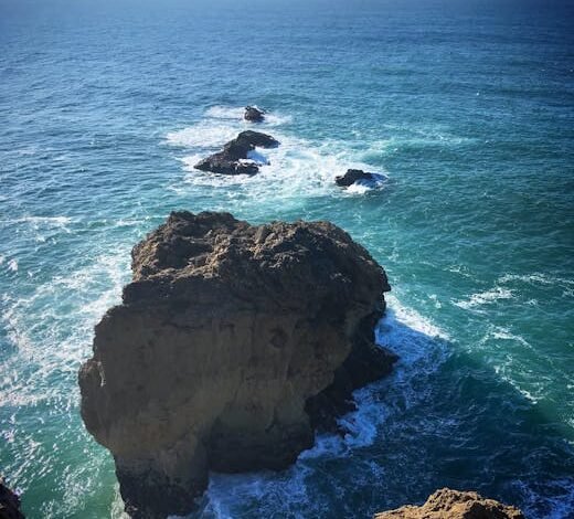 O Senado aprovou nesta terça-feira (10) um projeto