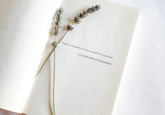 Fernando Haddad encerrou sua gestão no Ministério da