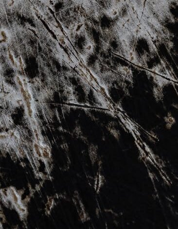 Após o primeiro dia do Lollapalooza 2026, realizado