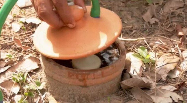 No sudeste do Pará, agricultores familiares adotam um