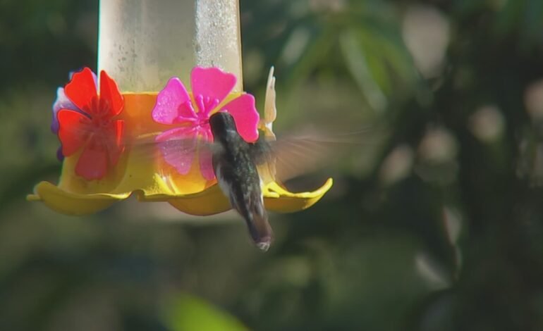 Piedade, no interior de São Paulo, tem atraído