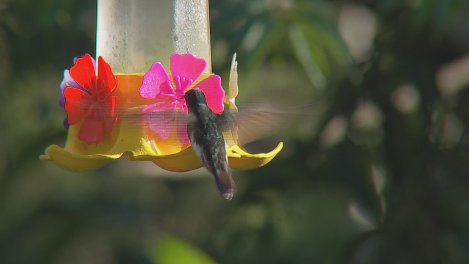Piedade, no interior de São Paulo, tem atraído