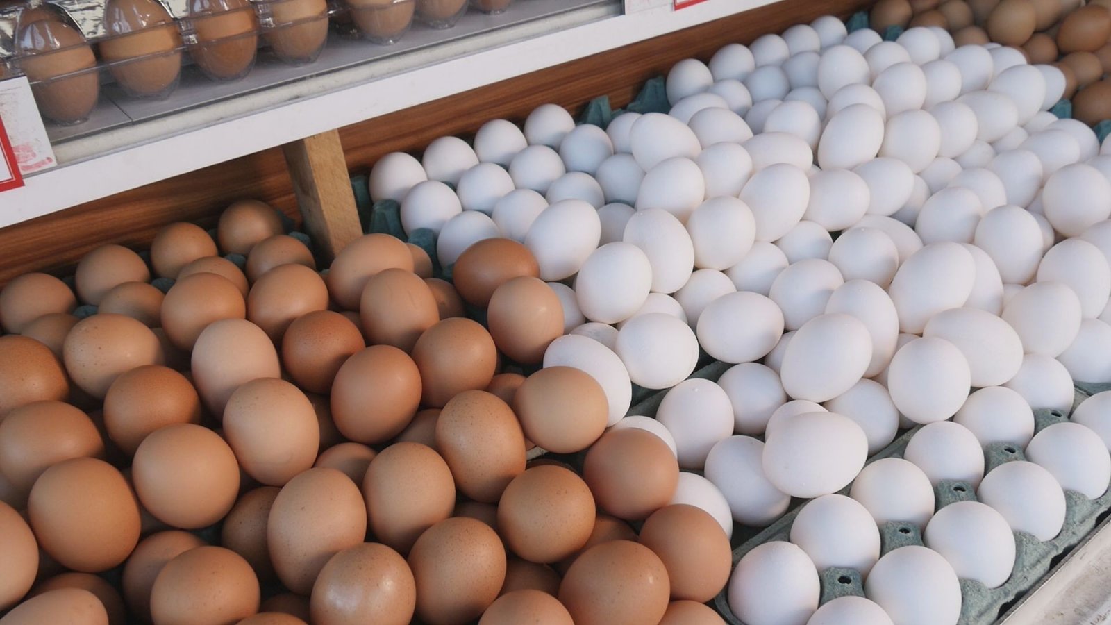 Produtores rurais de Minas Gerais interessados em aumentar