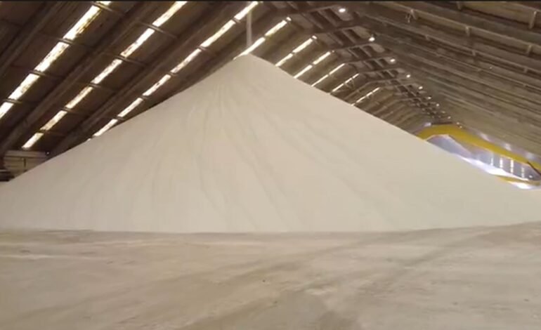 O embaixador do Irã no Brasil, Abdollah Nekounam