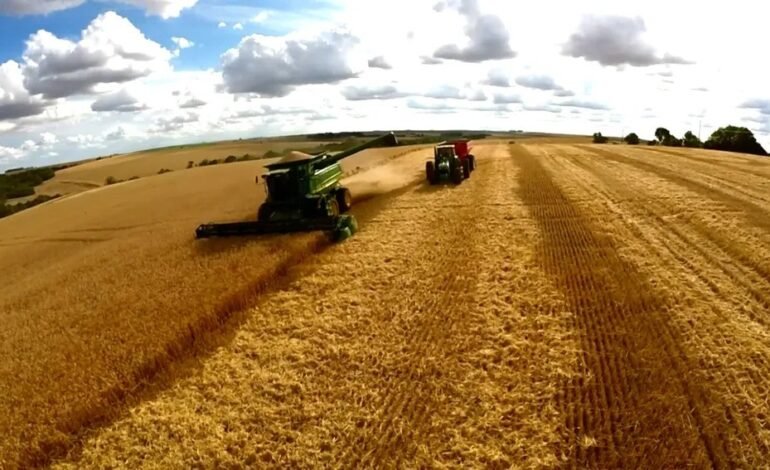 A Cargill suspendeu a exportação de soja do Brasil para