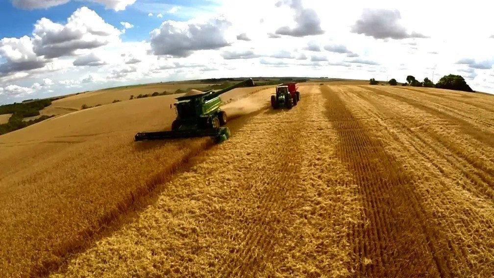 A Cargill suspendeu a exportação de soja do Brasil para