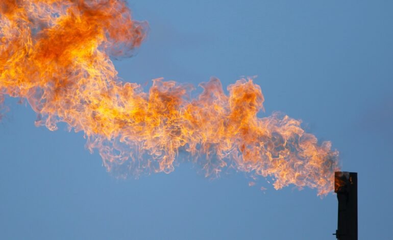 O diretor da Agência Internacional de Energia (AIE)