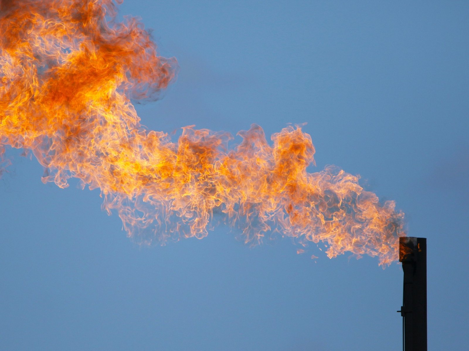 O diretor da Agência Internacional de Energia (AIE)