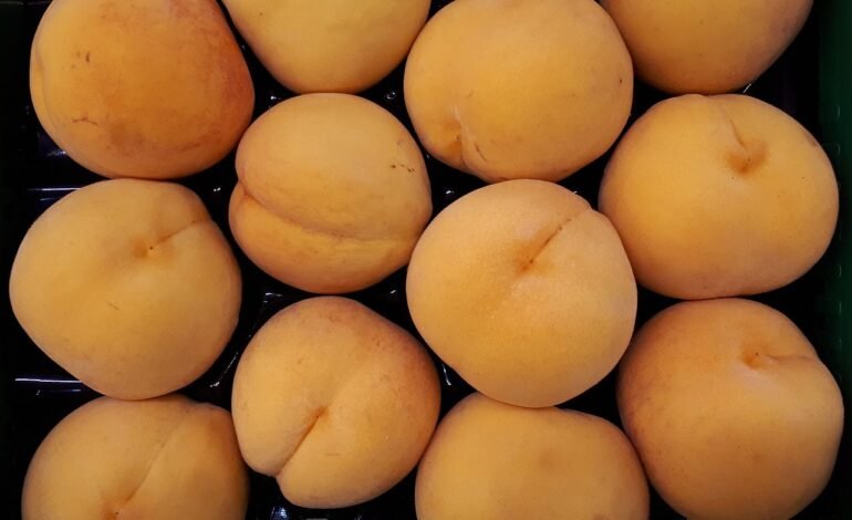 Três frutas brasileiras estão entre as 100 melhores do mundo