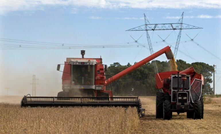 O Brasil deve alcançar recordes de exportação e