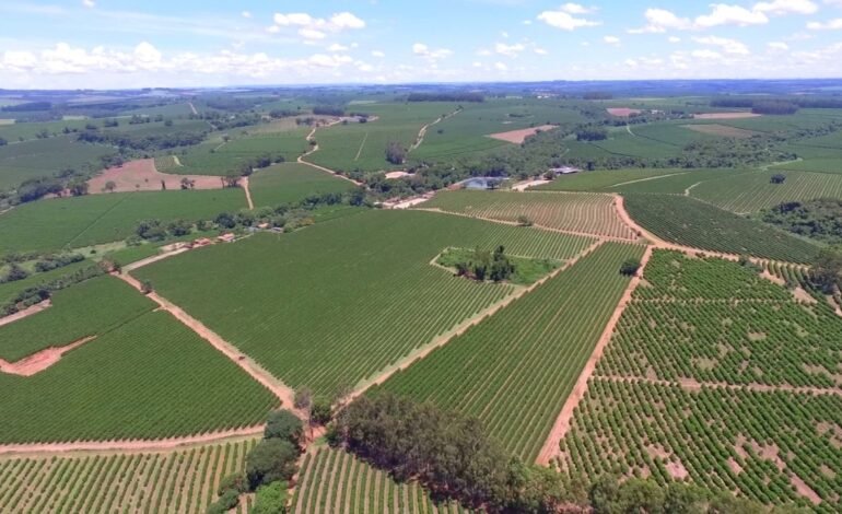 A Universidade de São Paulo (USP), por meio da Escola