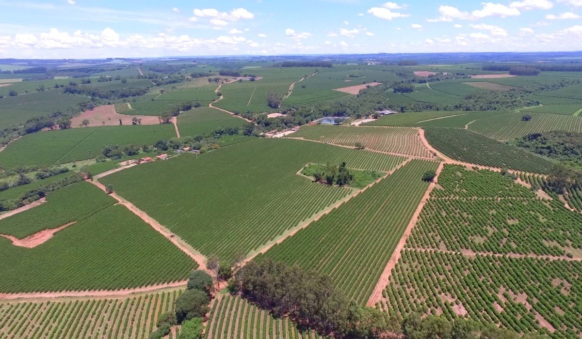 A Universidade de São Paulo (USP), por meio da Escola