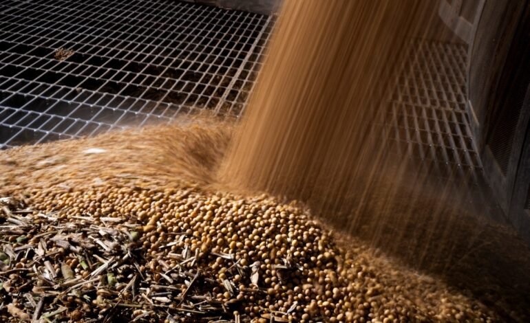 A colheita da soja da safra 2025/26 no Brasil atingiu